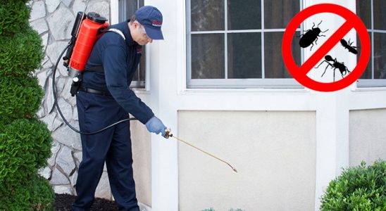 Alaca Böcek İlaçlama böcek ilaçlama ve haşere kontrolü — ilaclama-tr.com